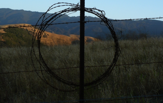 Dangerous Circle. These go by many names, but the bottom line is that these are never as easy to get out of as into. Remember that before you stick your head through the barbed wire.